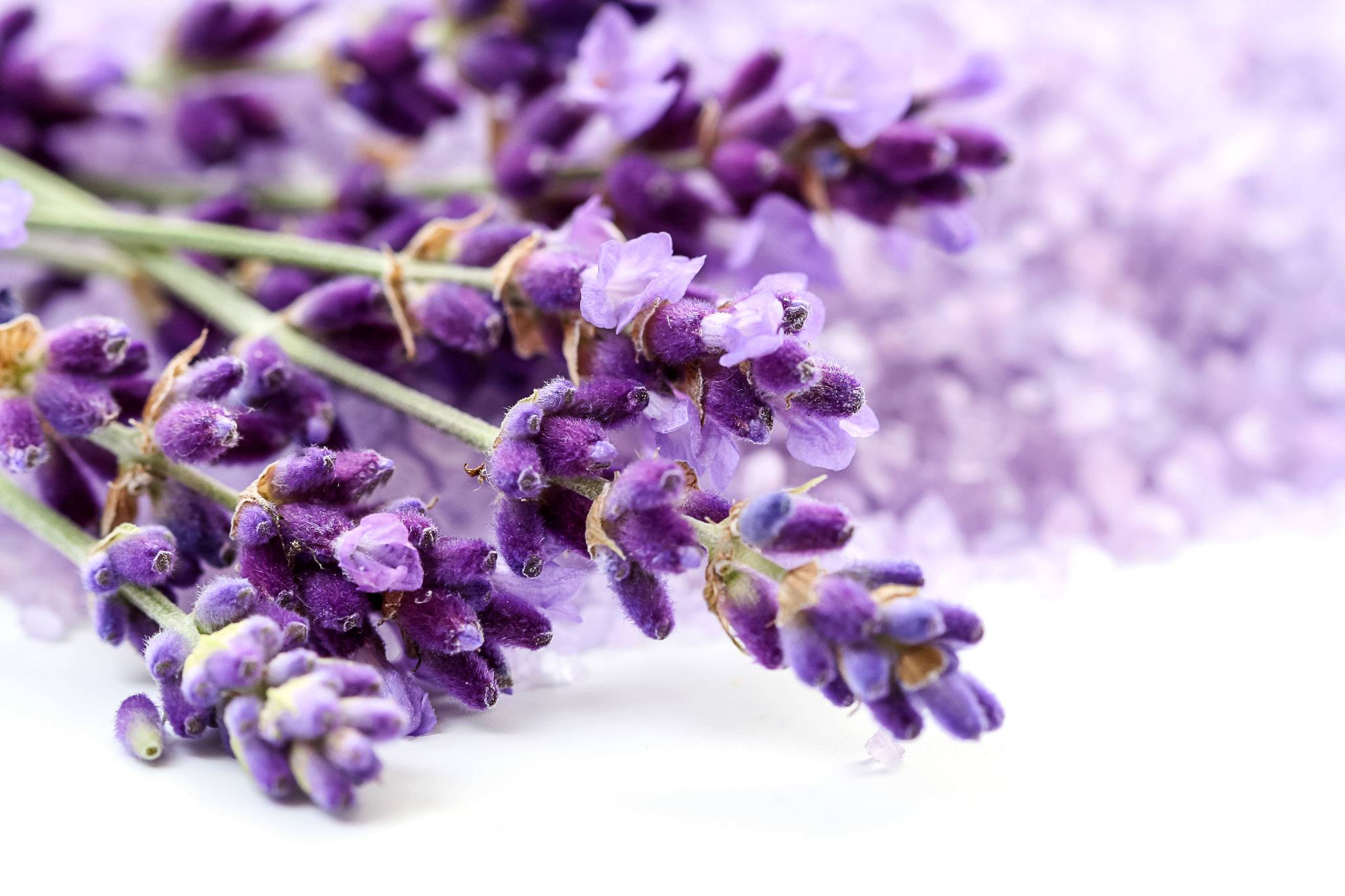 Image of lavendel